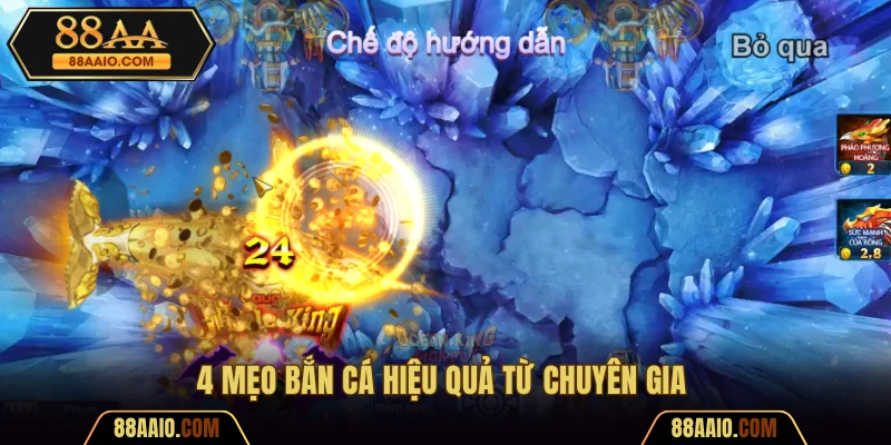 Bỏ túi 4 kinh nghiệm cá cược bất bại từ chuyên gia